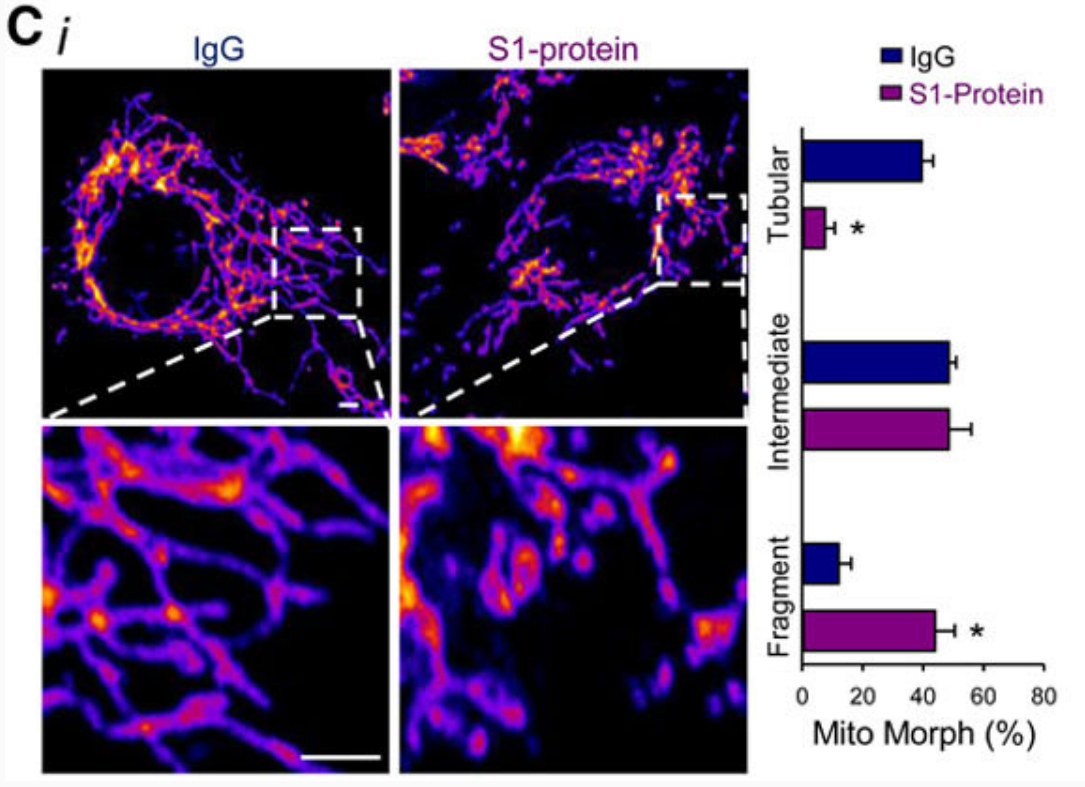 Bombshell Salk Institute science paper reveals the covid spike protein is what's causing deadly blood clots... and it's in all the covid vaccines (by design)